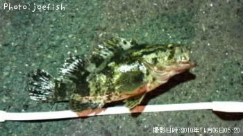 �٥å�������