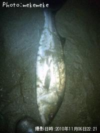 �����Х�