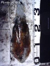 �����ꥤ��