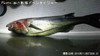 �����Х�