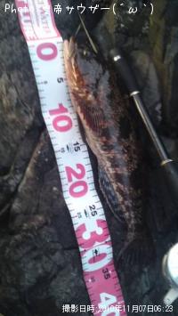 �����ʥ�