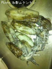 �����ꥤ��