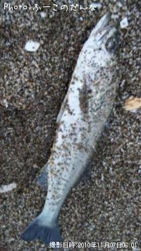 �����Х�