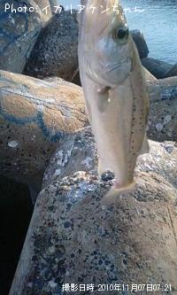 �����Х�