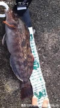 �����ʥ�