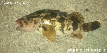 ¥¿¥±¥Î¥³¥á¥Ð¥ë