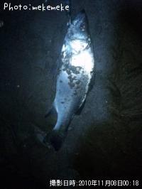 �ҥ饹����