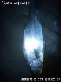 �ҥ饹����