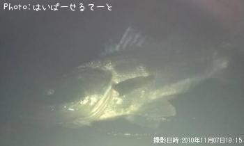 �����Х�