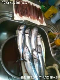 ¤½¤¦¤À³ï¡õ»ª¡õ°³