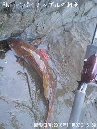 �����ʥ�