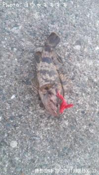 ¥¿¥±¥Î¥³¥á¥Ð¥ë