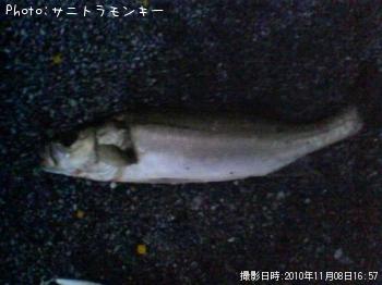 �����Х�