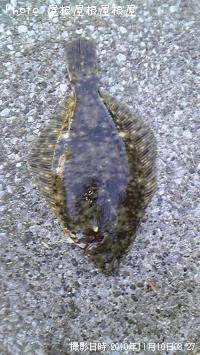 ¥«¥ì¥¤¤Á¤ã¤ó