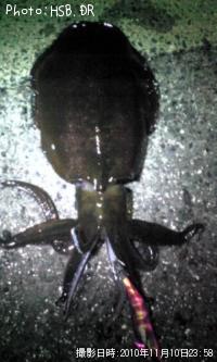 �����ꥤ��