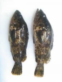 �����Υ���Х�