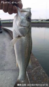 �����Х�