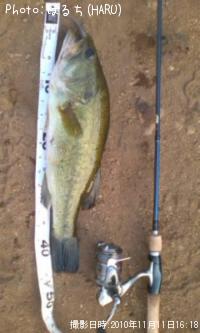 �֥�å��Х�