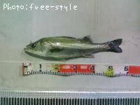 �ӣ��£���