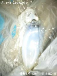 �����ꥤ��