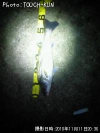 �����Х�