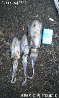 �����ꥤ��