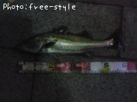 £Ó£å£á£Â£á£ó£ó