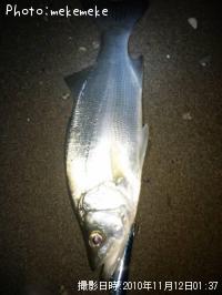 �ҥ饹����