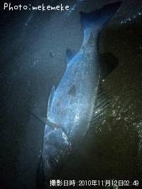 �ҥ饹����