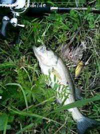 �֥�å��Х�