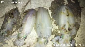 �����ꥤ��