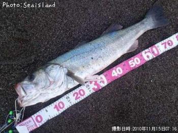 �����Х�