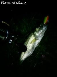 �֥�å��Х�