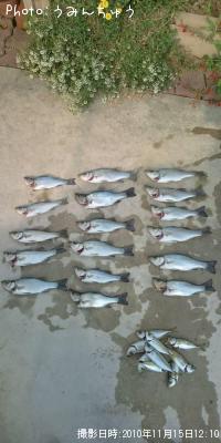 �����Х�