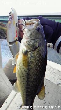 ¥Ö¥é¥Ã¥¯¥Ð¥¹