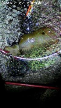 �����ꥤ��