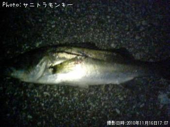 �����Х�