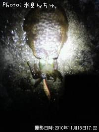 �����ꥤ��