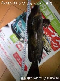 �����ʤ�