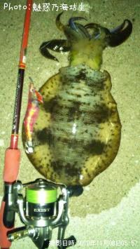 �����ꥤ��