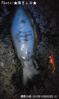 ¥¢¥ª¥ê¥¤¥«