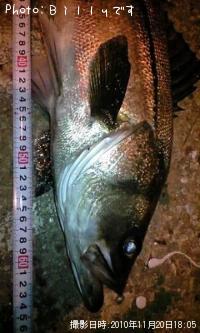 �����Х�