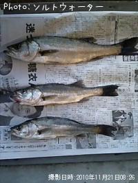 �����Х�