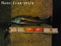 �ӣ��£���