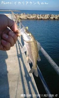 �����Х�