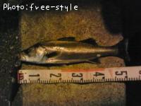 �ӣ��£���