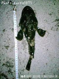 �ȥ�������