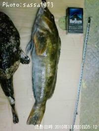 �����ʥ�