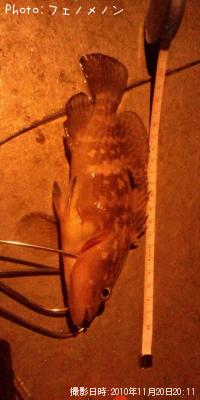 �����ϥ�