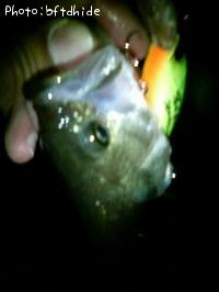 �֥�å��Х�